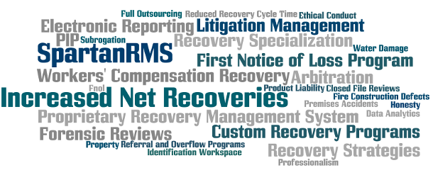 Recovery Management System